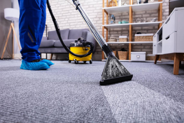 professional carpet cleaning in London