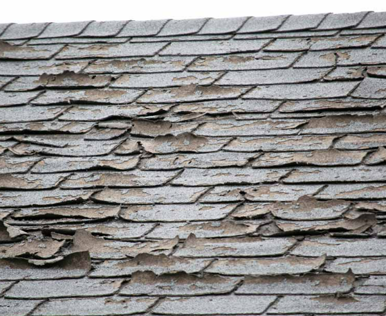 roofing in St Petersburg FL