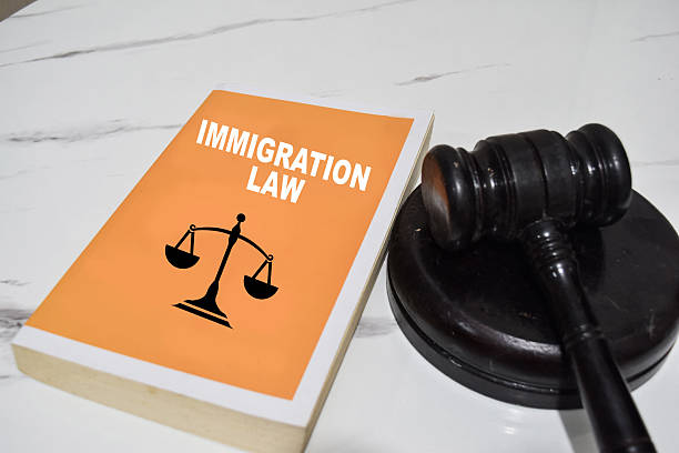 Immigration Habeas Corpus Attorney